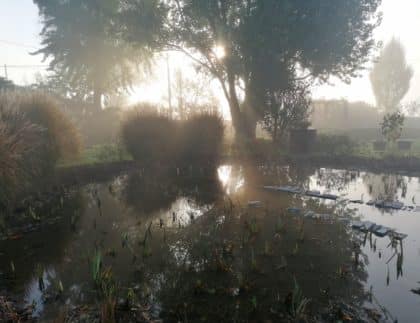 Manutenzione invernale del biolago balneabile